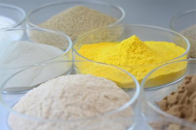 Quality Highly Active Endo Bakery Enzyme Xylanase In Food For Flour Improvement for sale