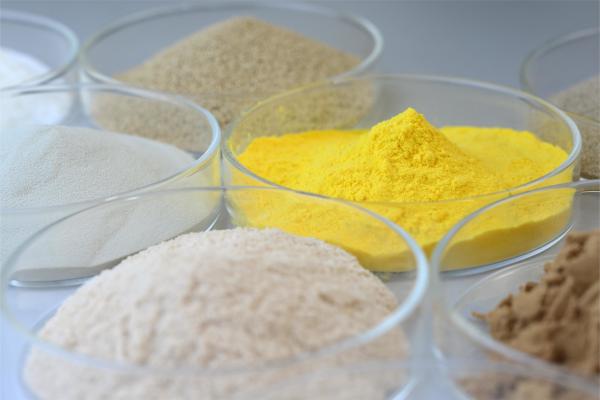 Quality Highly Active Endo Bakery Enzyme Xylanase In Food For Flour Improvement for sale