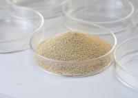 Quality PH Range 5.0-8.0 Immobilized Enzyme Lipase Used In Oil And Grease Processing for sale