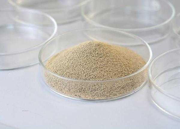 Quality PH Range 5.0-8.0 Immobilized Enzyme Lipase Used In Oil And Grease Processing Industries for sale