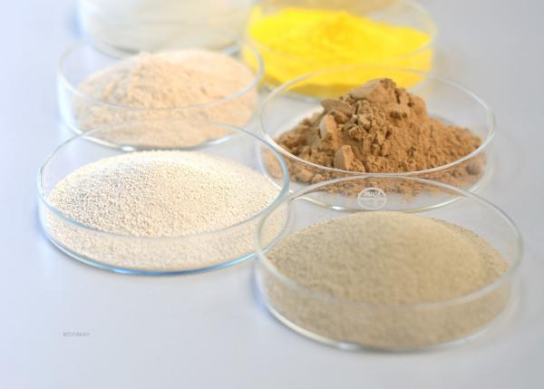 Quality Lipase Bakery Enzyme Flour Improver Food Enzyme Powder / Liquid for sale