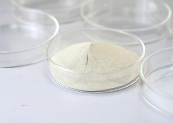 Quality Lipase Bakery Enzyme Catalyze The Hydrolysis Of Lipids for sale