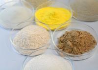 Quality Fungal Amylase Bakery Enzyme Powder Food Additives for sale