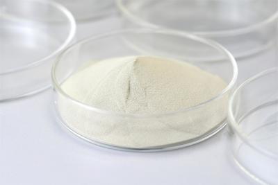 Quality ISO9001 Food Grade Enzymes Lactase Powder PH Range 4.0-5.5 for sale