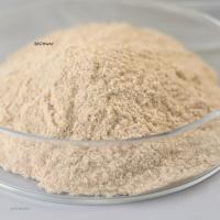 Quality Thermostable Alkaline Protease Biodiesel Enzyme Hydrolyze Proteins for sale