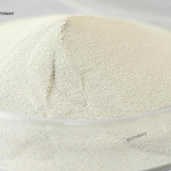 Quality Thermostable Alkaline Protease Powder Catalyze Hydrolysis Of Proteins For for sale