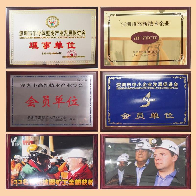Proveedor verificado de China - Golden Future Enterprise HK Ltd