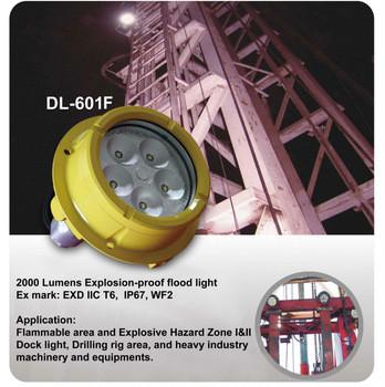 中国 G3/G4 AC 110V 20W LED 海洋ライト 2000 の内腔、防水給油所 LED ライト 販売のため