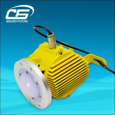 China 50watt Led Industry Light , Explosion Proof Gas Station Canopy Light for sale