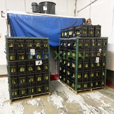 China Asparagus Forced Air Cooler Built Inside Cold Storage Room for sale