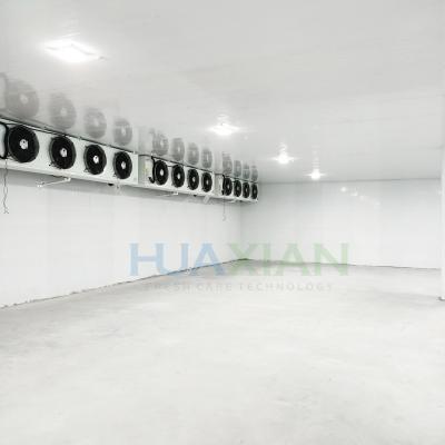 China China Walk in Freezer Cooler/Chiller/Cold Storage Room Warehouse Price for Sale Meat/Vegetables/Fish/Fr for sale