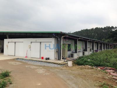 China Vegetable Cold Storage Freezer Room Compressor Unit for Outdoor Condenser Unit for sale