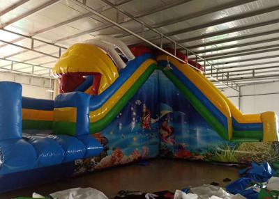 China Commercial Custom Size Outdoor Inflatable Water Slide With Free Repair Kits for sale