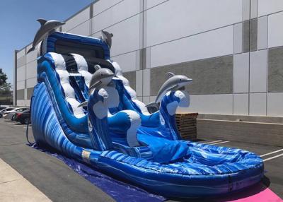China Blue Dolphin Large Inflatable Water Slides , Faster Inflation Bouncy Castle Water Slide for sale