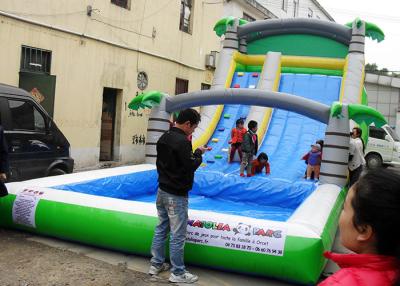 China Corrediça de água inflável gigante durável para adultos, corrediça de água de salto do castelo do entretenimento à venda