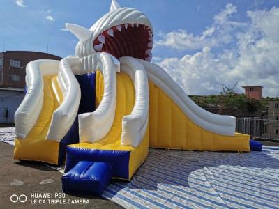 China Giant Shark Commercial Inflatable Water Slides / Triple Lanes Adults Water Slide for sale