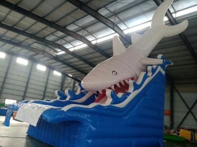 China Toboganes acuáticos inflables comerciales blancos del tiburón los 5×8M en venta