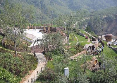 China Equipo al aire libre de madera Forest Adult Playground del patio en venta