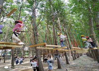 Chine Terrain de jeu extérieur de jungle d'équipement de terrain de jeu d'enfants à vendre