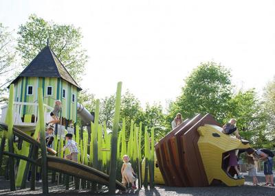 Chine Lion Theme Artistic Playground Slides pour l'équipement extérieur résidentiel de terrain de jeu d'adultes à vendre