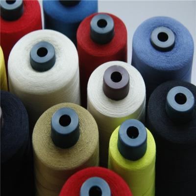 中国 Ne40s/3 meta aramid sewing thread heat insulation thread 販売のため