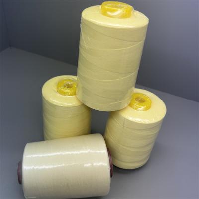 China Ne30/2 Para Aramid Sewing Machine Thread For Sewing With Shrinkage Film for sale