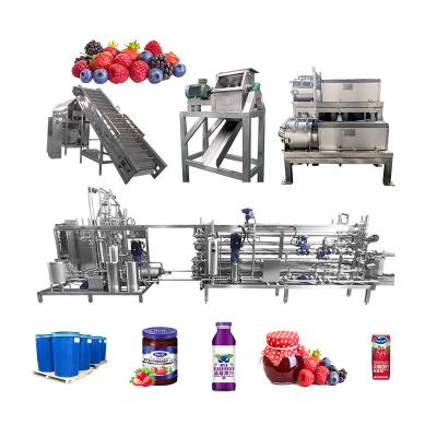 China Dried Fruit SUS 304 Berry Processing Equipment 10-100T/D for sale