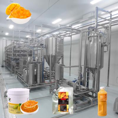 China 10T/D 304 Stainless Steel Mango Processing Line Aseptic Bag Package for sale