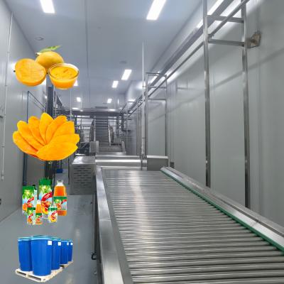 China SUS304 Industrial Mango Juice Processing Machine 20T/H ISO9001 for sale