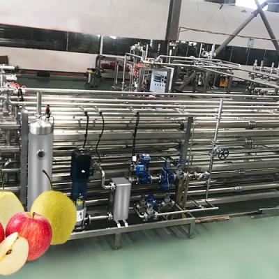 China Safety SUS304 Apple Processing Equipment Apple Puree Processing Plant for sale