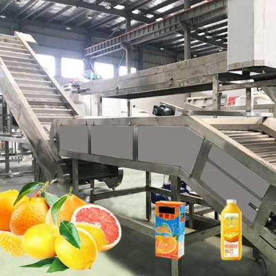 China Professional Tangerine Citrus Processing Equipment 5T/H  ISO Certificate for sale