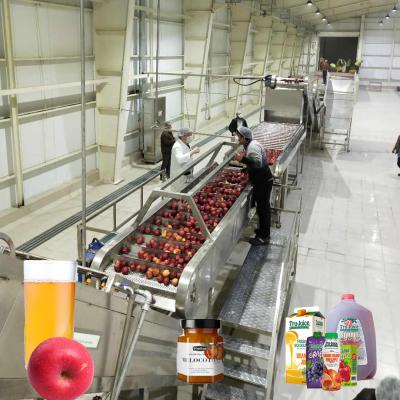 China 10 - 100T/D SUS 304 Automation Apple Juice Processing Line Turnkey Projects for sale