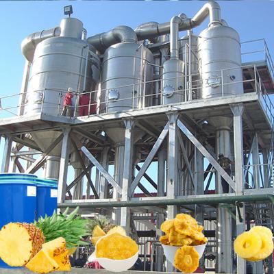 China PLC 20T/H 440V Aseptic Bag Pineapple Processing Line for sale