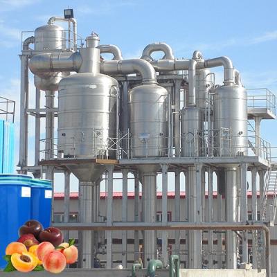 China Commercial Peach Processing Plant Apricot Puree Plum Jam Production Line for sale