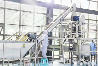 China Turnkey livre - secando o controle de segurança industrial do secador do fruto para operadores à venda