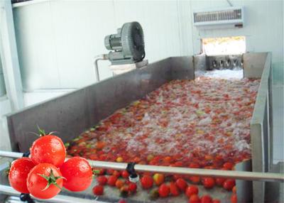 China Línea de transformación vegetal inoxidable del acero 380V equipo de proceso del tomate en venta