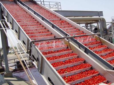China PLC Control Food Processing Machine Tomato Processing Line Water Cycling for sale