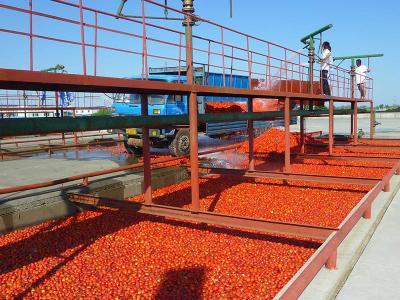 China Commercial 380V Tomato Processing Line / Tomato Puree Processing Plant for sale