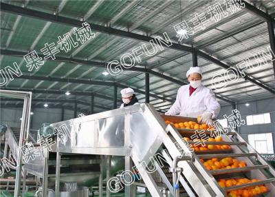 Китай Деятельность завода по обработке лимона технологическая линия/440В цитруса ХПП легкая продается