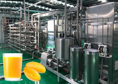 China Industrial Scale Mango Fruit Processing Line Fully Automatic 1 Year Warranty for sale