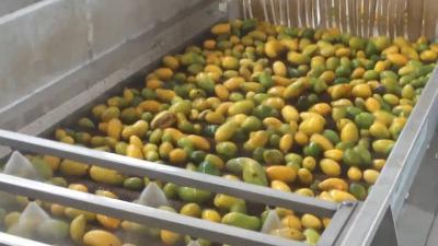 China High Effective Small Scale Mango Processing Plant  High Extracting Rate for sale