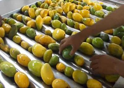 Китай Предварительная высушенная машина обработки манго/коммерчески машина для просушки манго продается