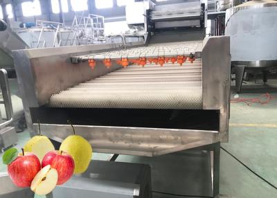 China Professional Pear Chips Apple Processing Line 440V Turnkey Project for sale