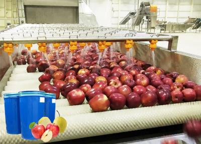 China Ss 304 Apple Processing Line / Fruit Jam Making Machine High Level Sanitation for sale