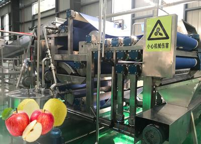 China Fully Automatic Apple Juice Production Line Advanced Preliminary Array Technology for sale
