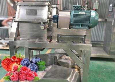 China High Output Berry Processing Equipment 20 T / Day To 1500 T / Day Turnkey Solution for sale