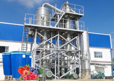 China Professional Berry Processing Equipment / Fruit Jam Processing Machinery for sale