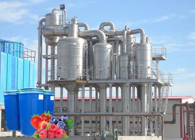 China Beverage SUS 304 Jam Berry Processing Equipment for sale