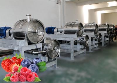 China Easy Operation Fruit Processing Line Berry Juice Making With CE Certified for sale