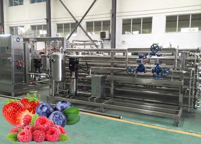 China A linha de processamento Turnkey de Berry Paste Pulp Industrial Pasteurizer fácil limpa à venda